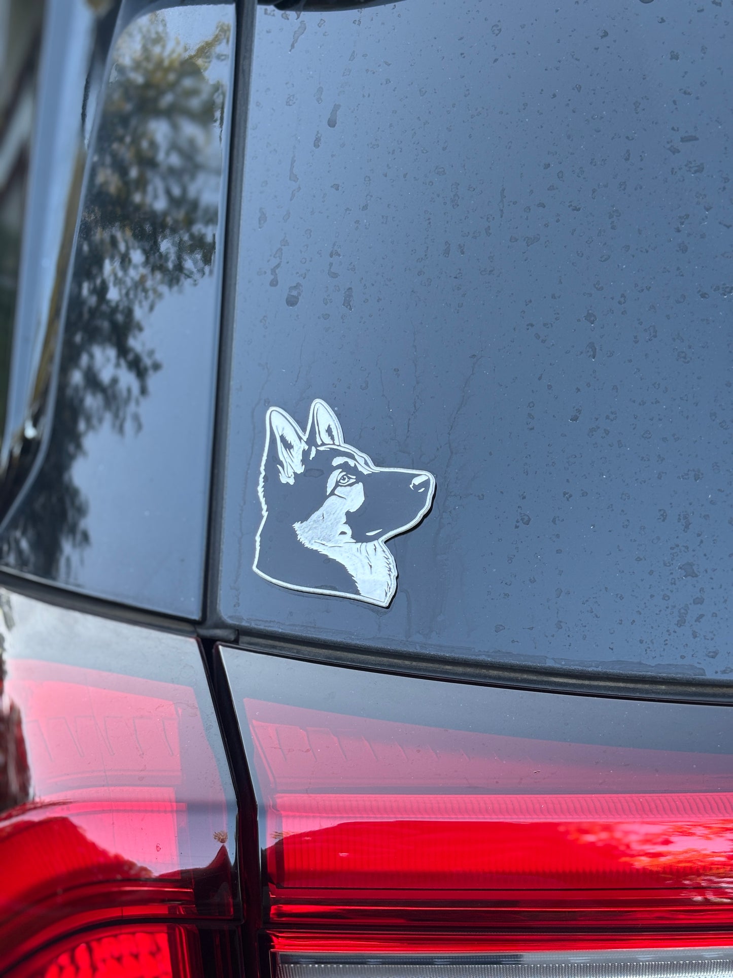 Wag Swag: UV-Resistant Pet Decals & Car Emblems
