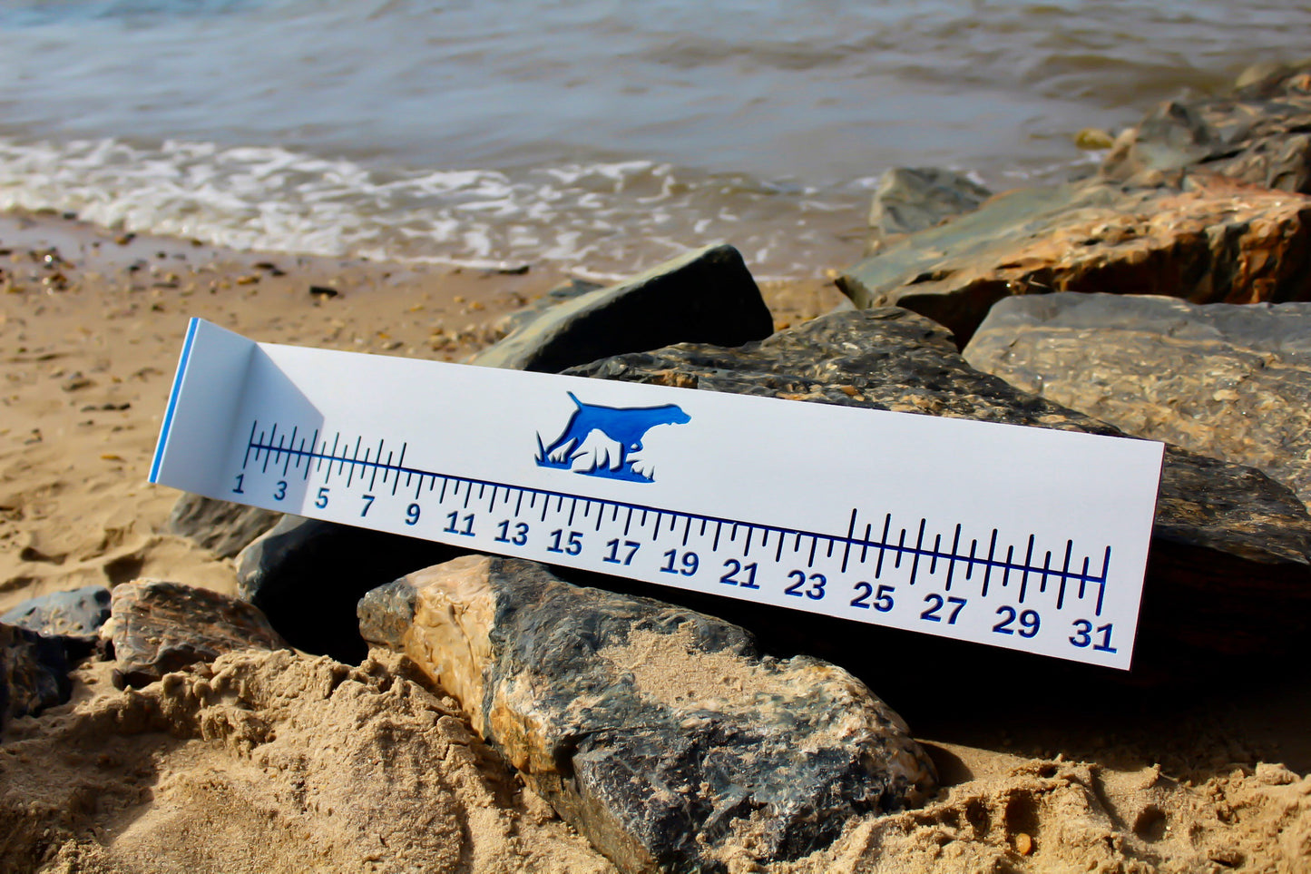 ProMeasure Fishing Bump Board