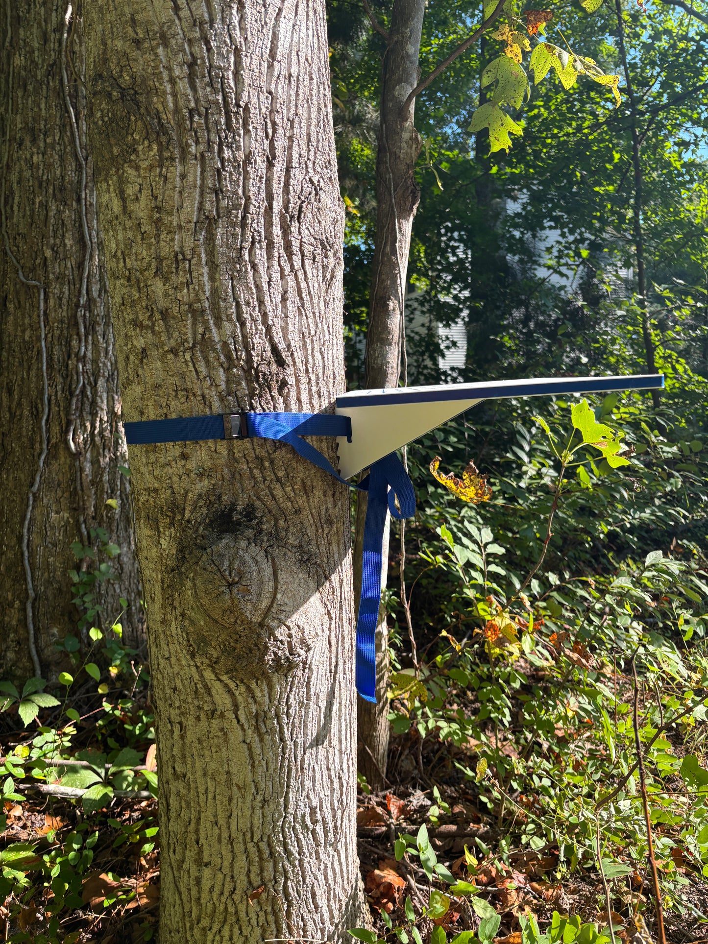 The "Outpost" - Portable Tree-Mounted Bait & Game Board