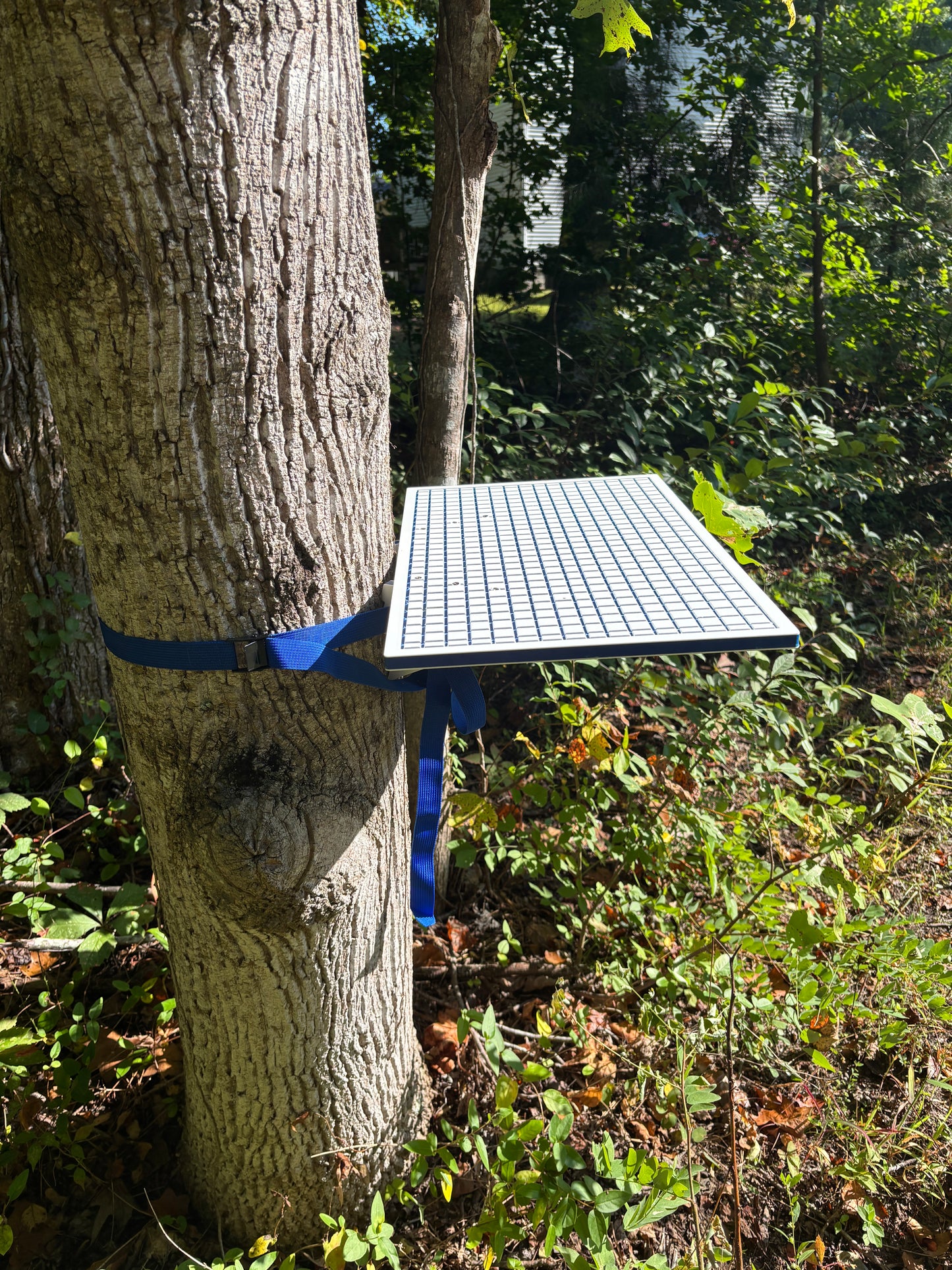 The "Outpost" - Portable Tree-Mounted Bait & Game Board