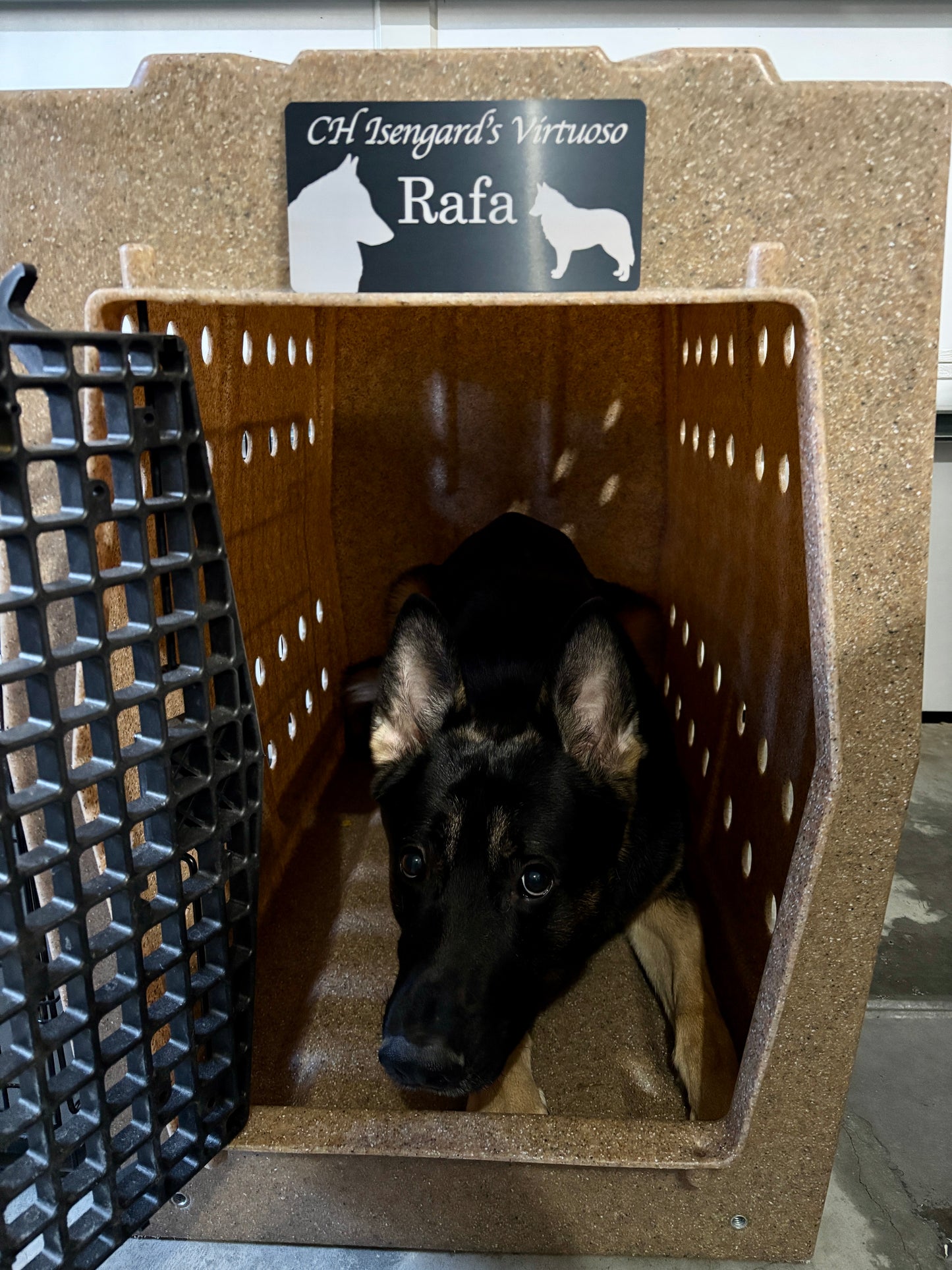 Custom Nameplate for Ruff Land™ Kennels | Personalized Crate Tag